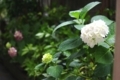 20180523143144