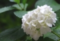 20180523143158