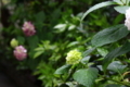 20180523143231