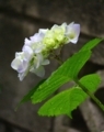 20180523143259