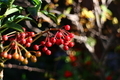 20181207140711
