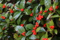 20181207140725
