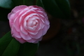 20190110123047
