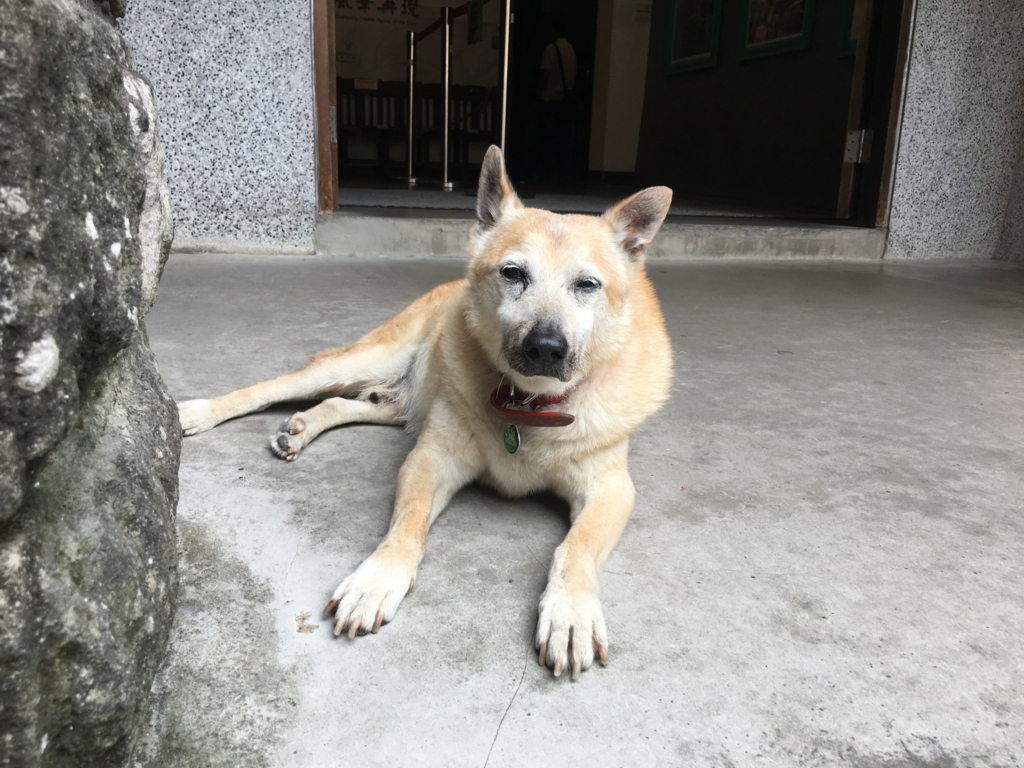 f:id:mieezore:20180819172949j:plain