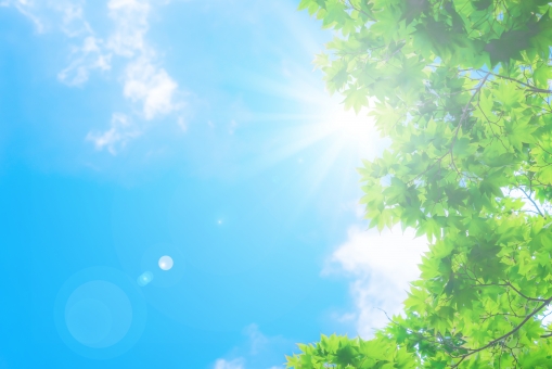 f:id:mieko-chan:20190413102645j:plain f:id:mieko-chan:20190413102645j:plain
