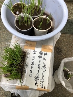 f:id:mieko-chan:20210618082511j:plain