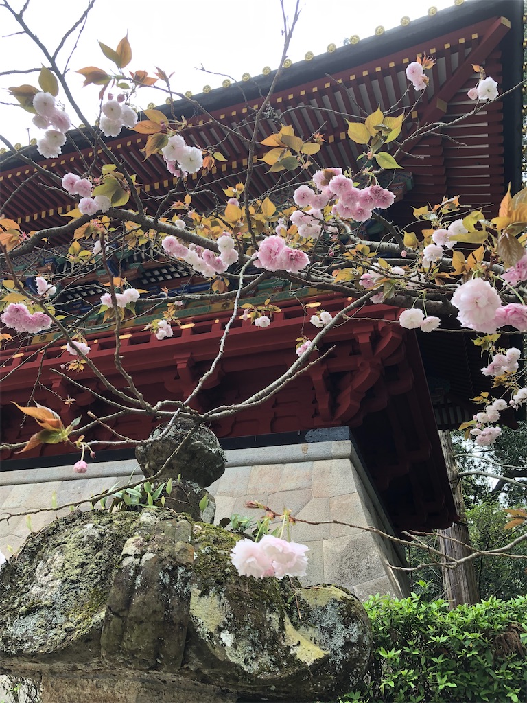f:id:mieko-chan:20240427113529j:image f:id:mieko-chan:20240427113529j:image