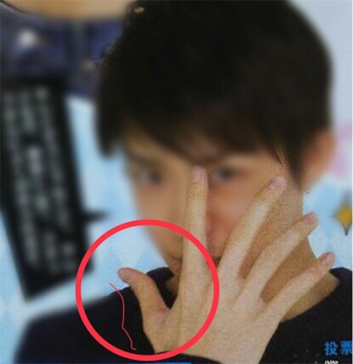 f:id:mieldefleurs:20180122035204j:image