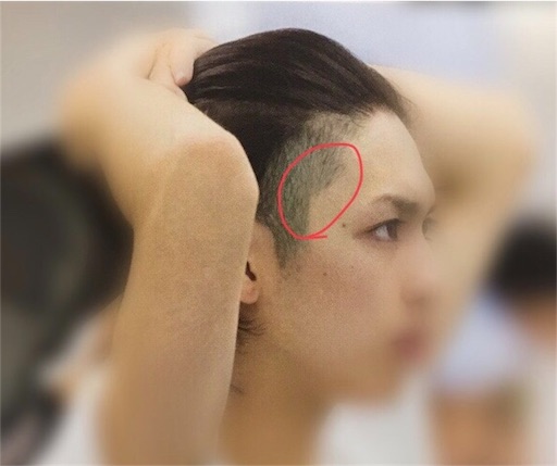 f:id:mieldefleurs:20180122040444j:image