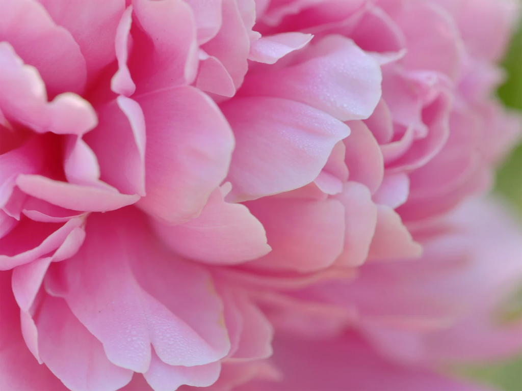 f:id:miema8910:20250709191403p:image