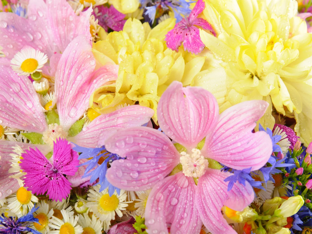 f:id:miema8910:20250709191427p:image