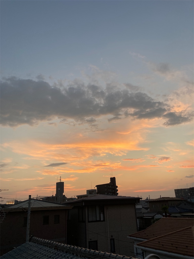 f:id:miema8910:20250805222024j:image