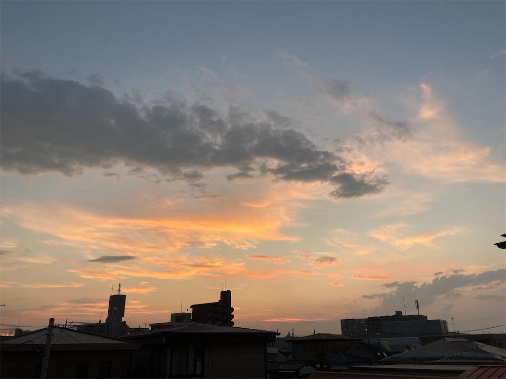 f:id:miema8910:20250808191154j:image f:id:miema8910:20250808191154j:image