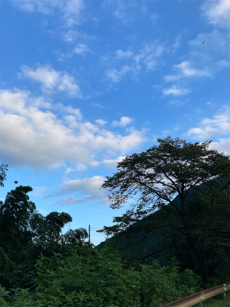 f:id:miema8910:20250814215746j:image