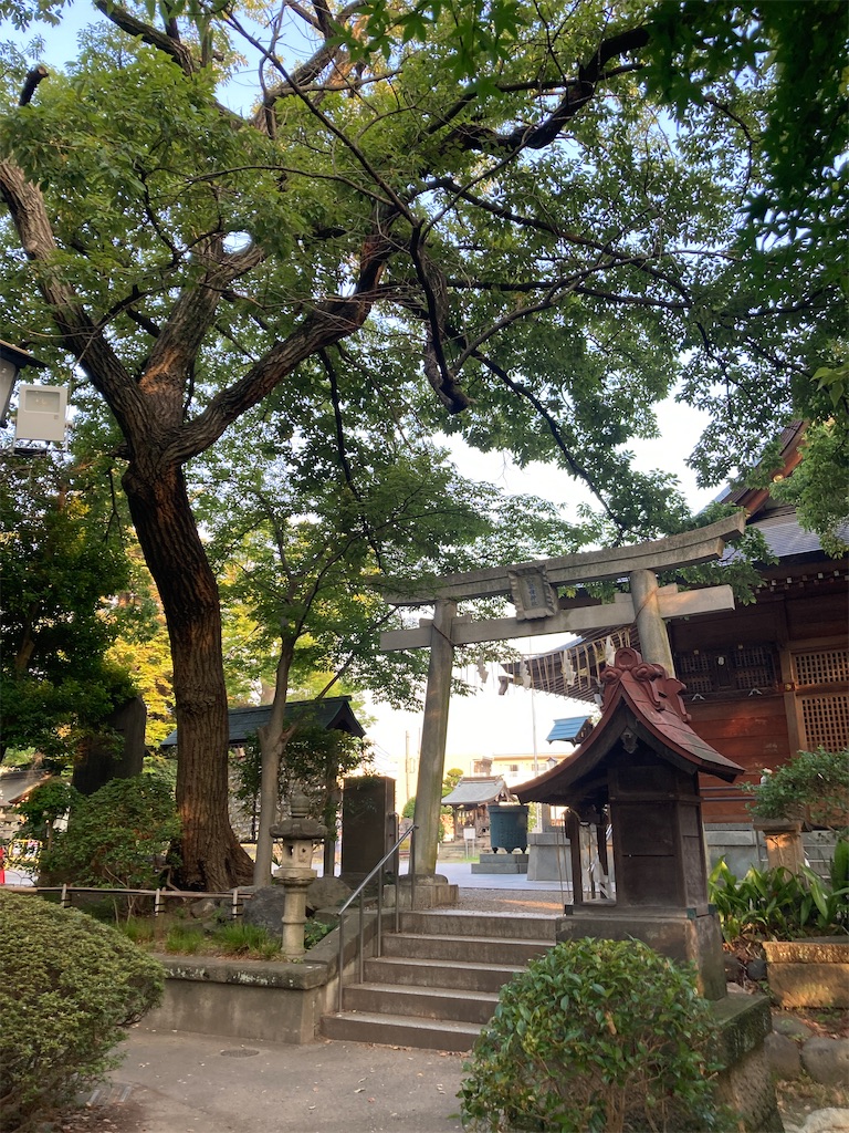 f:id:miema8910:20250901220125j:image