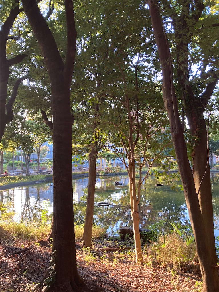 f:id:miema8910:20250926064557j:image
