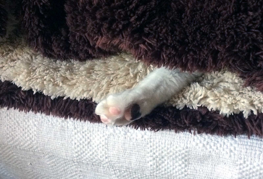 f:id:miemieization:20180112214401j:plain