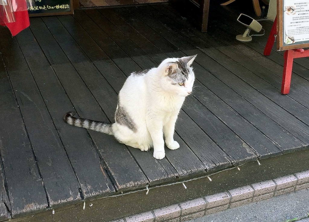 f:id:miemieization:20180513205349j:plain