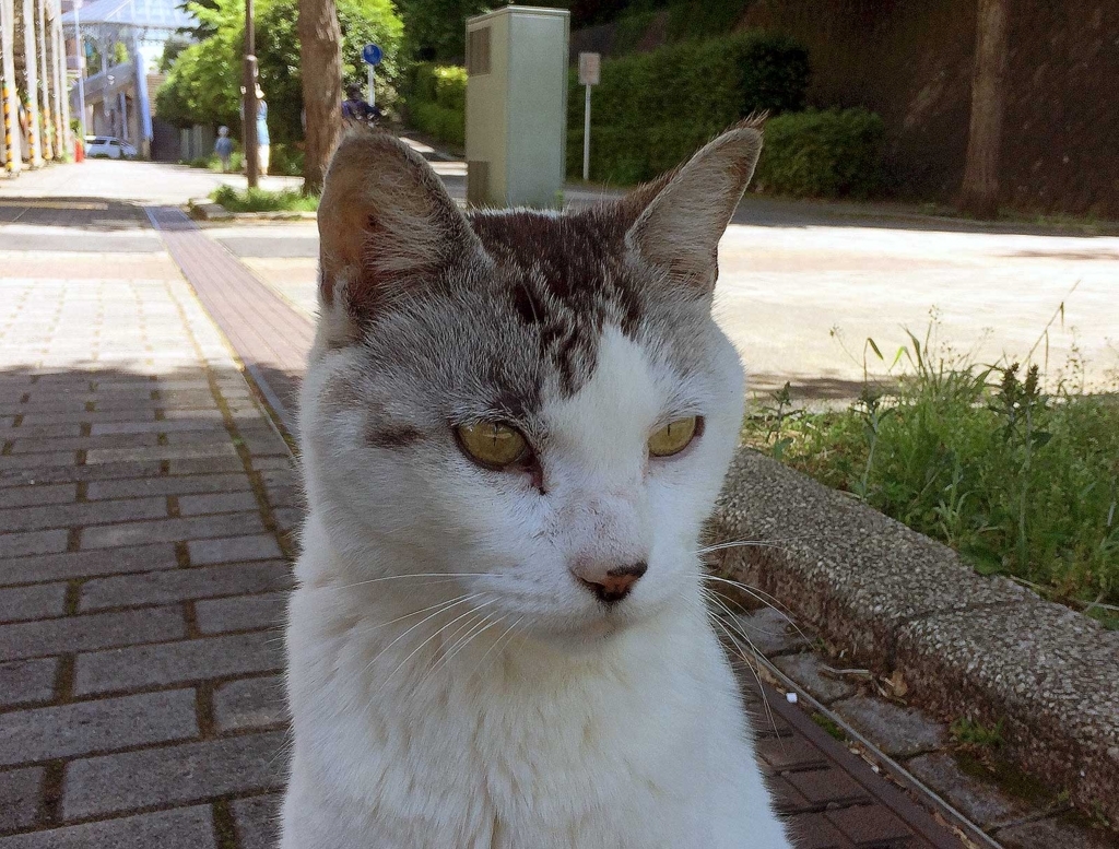 f:id:miemieization:20180513205442j:plain