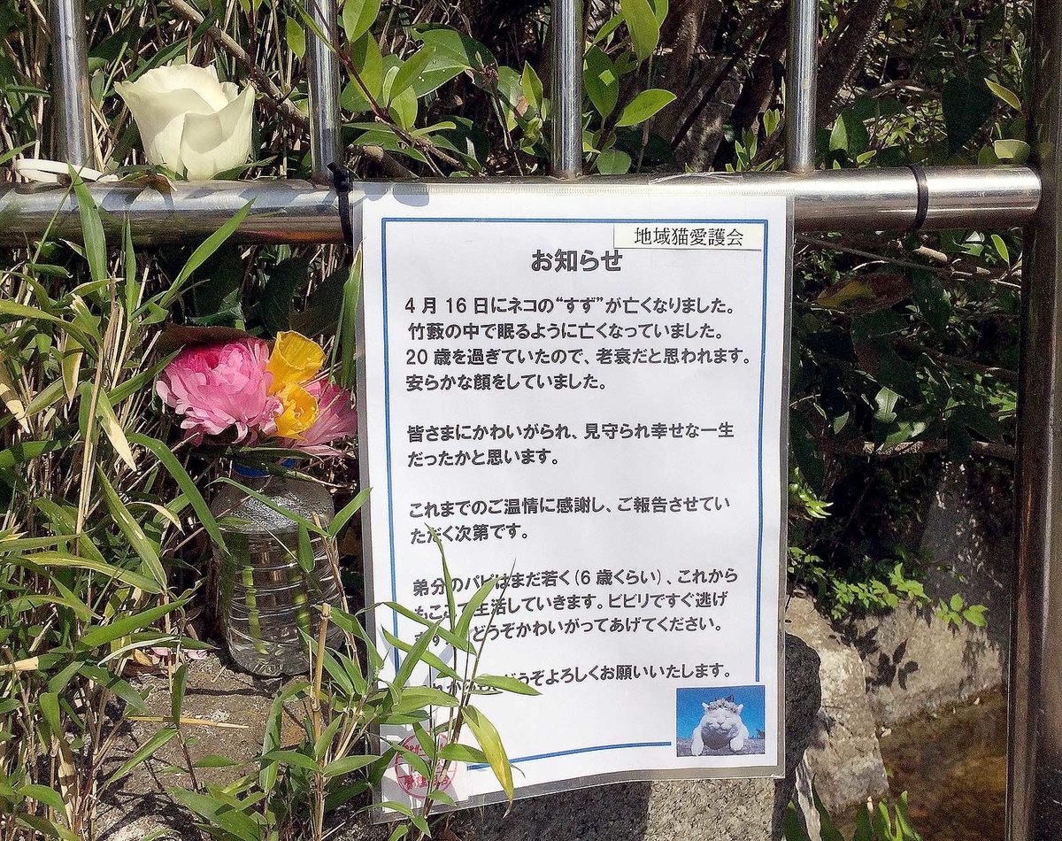 f:id:miemieization:20190420180915j:plain