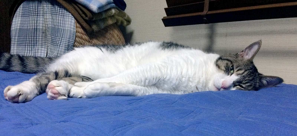 f:id:miemieization:20190720183430j:plain f:id:miemieization:20190720183430j:plain