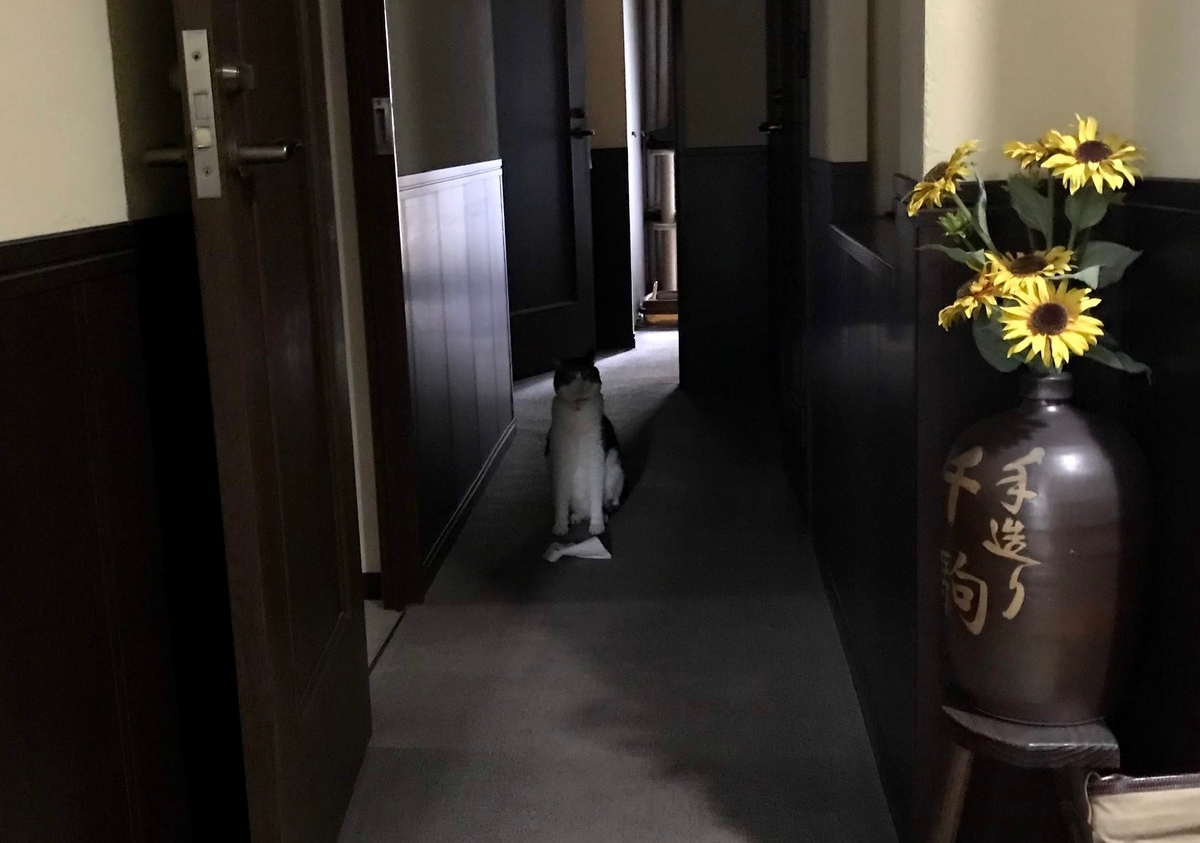 f:id:miemieization:20191015203646j:plain
