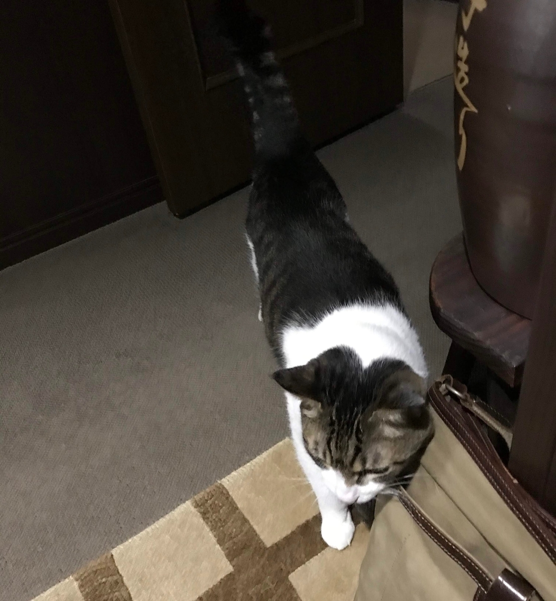 f:id:miemieization:20191015203941j:plain