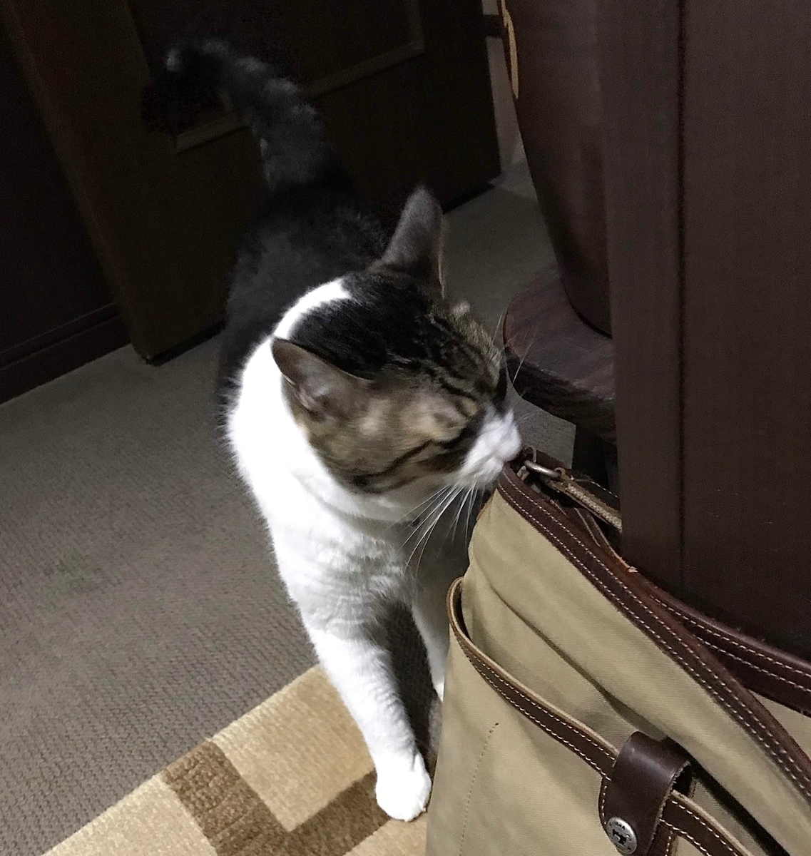 f:id:miemieization:20191015204050j:plain