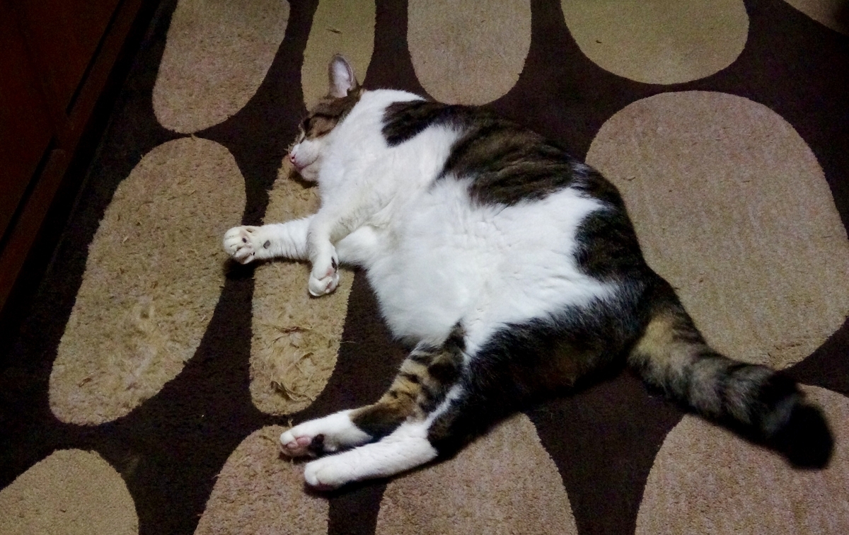 f:id:miemieization:20191029184242j:plain
