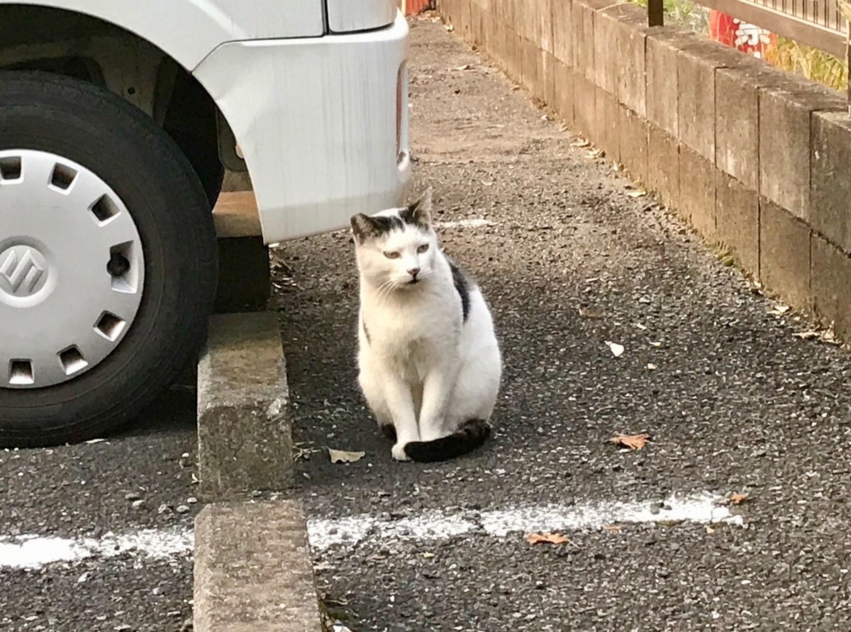 f:id:miemieization:20191110164246j:plain