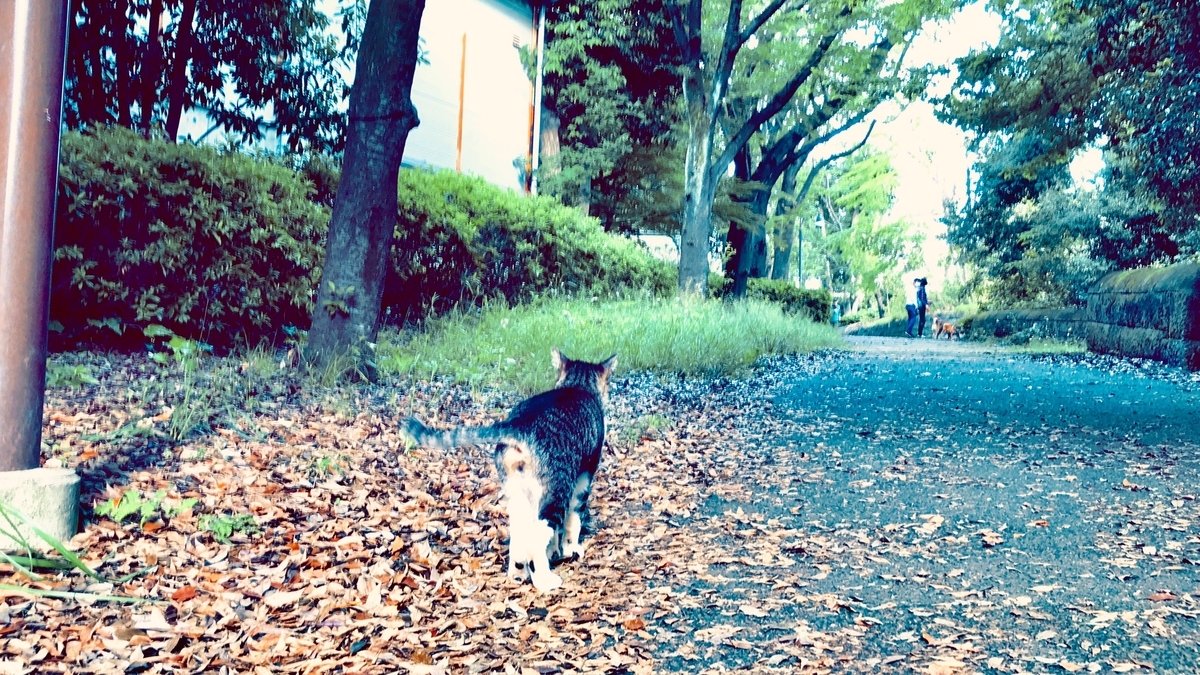 f:id:miemieization:20200522204920j:plain