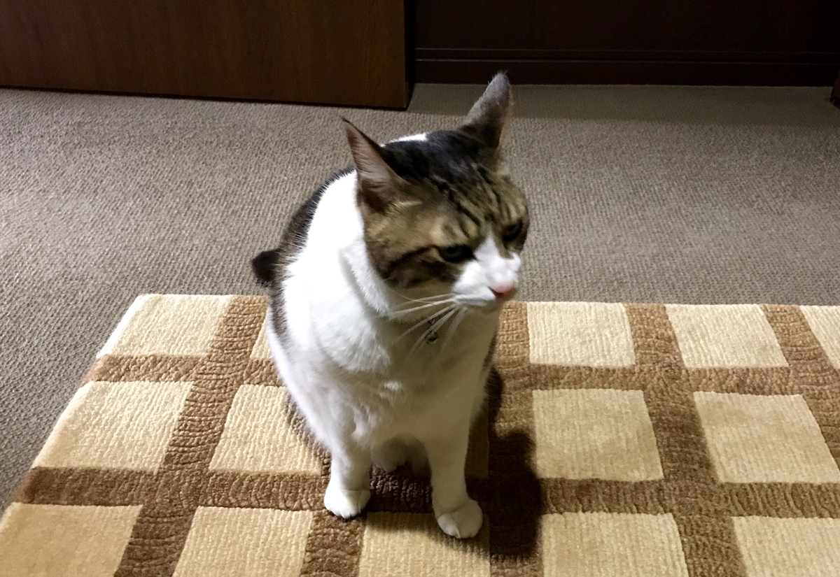 f:id:miemieization:20201219202113j:plain