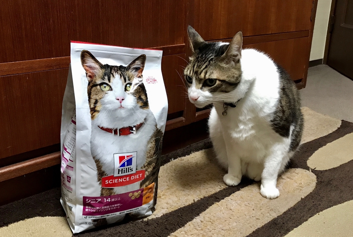 f:id:miemieization:20210323213355j:plain