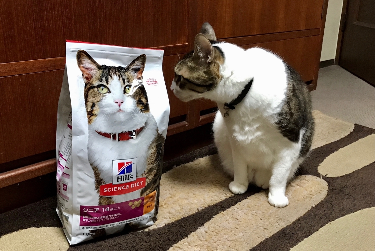 f:id:miemieization:20210323213544j:plain