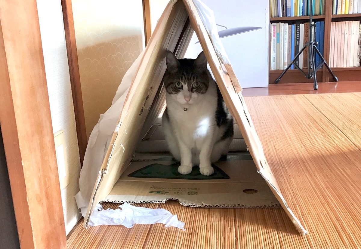 f:id:miemieization:20210326210410j:plain