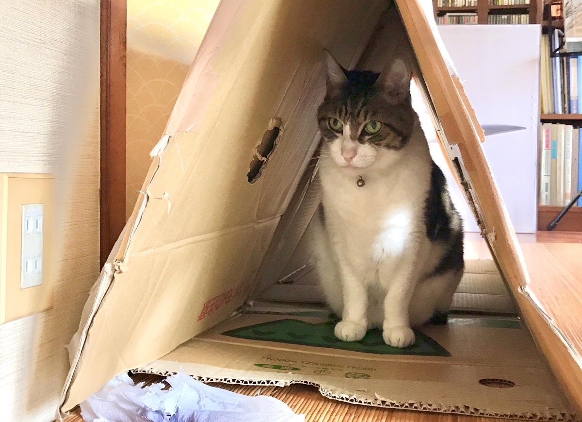 f:id:miemieization:20210326210445j:plain