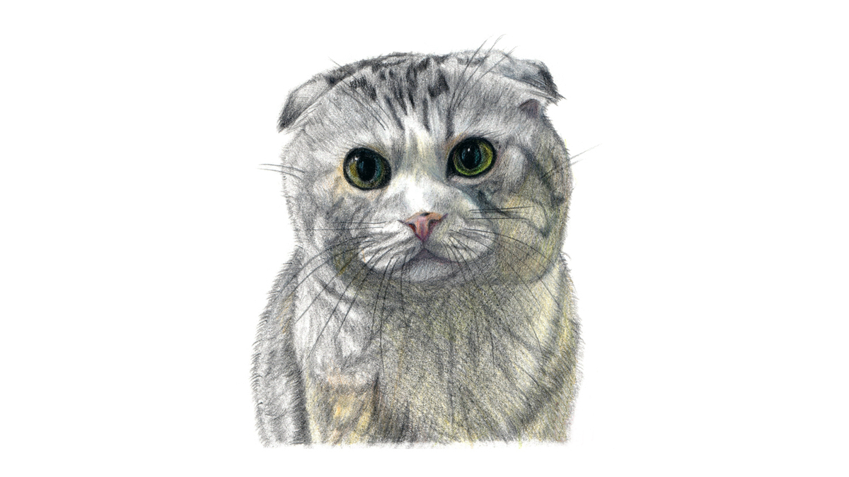 f:id:miemieization:20210516211344j:plain