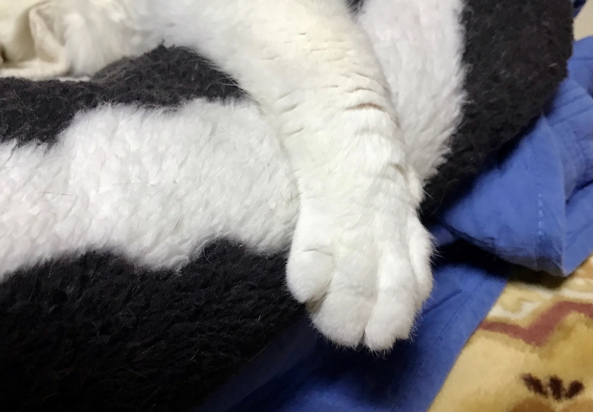 f:id:miemieization:20210521210244j:plain