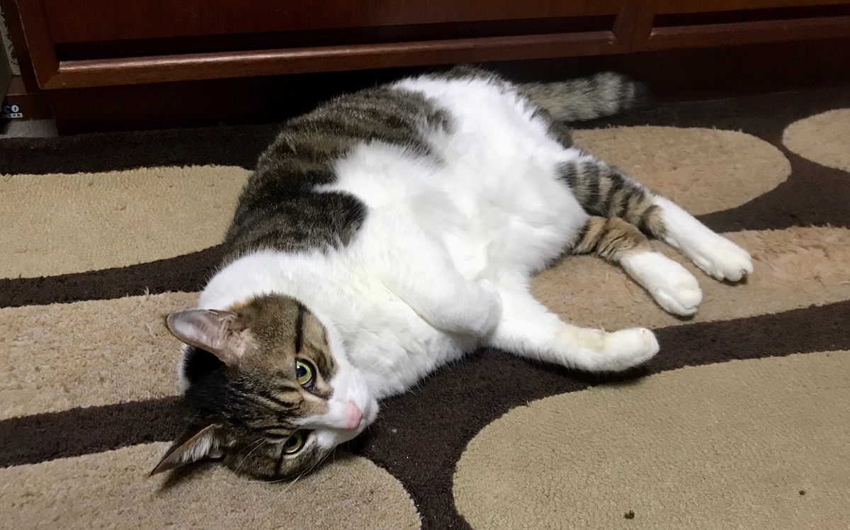f:id:miemieization:20211114214728j:plain