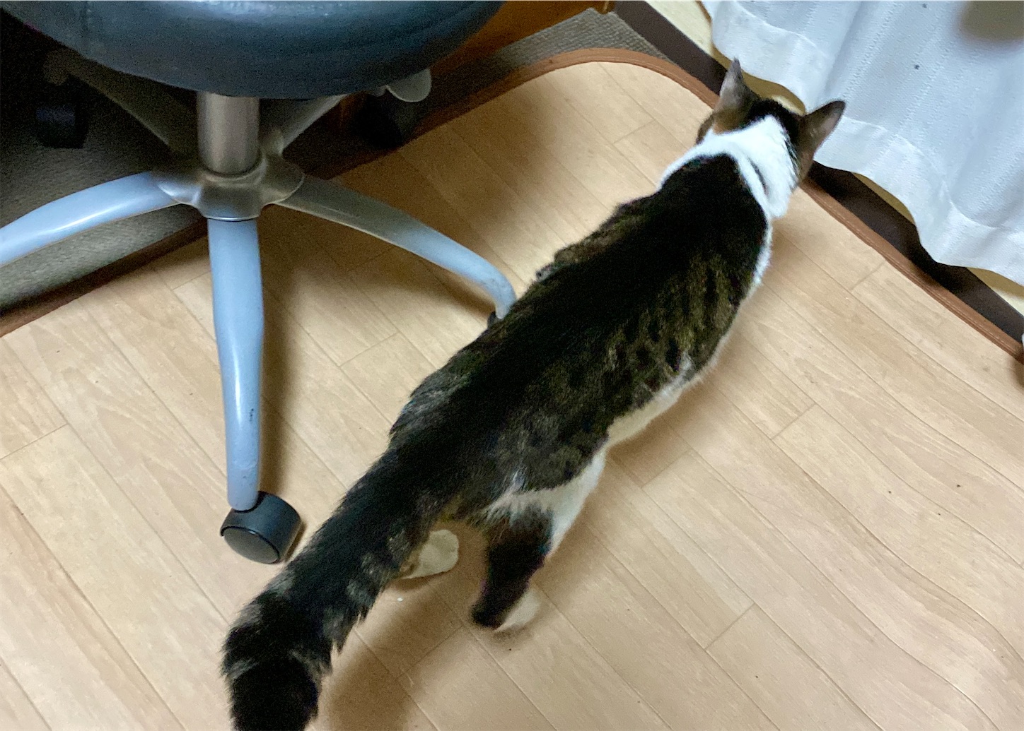f:id:miemieization:20240804183459j:image