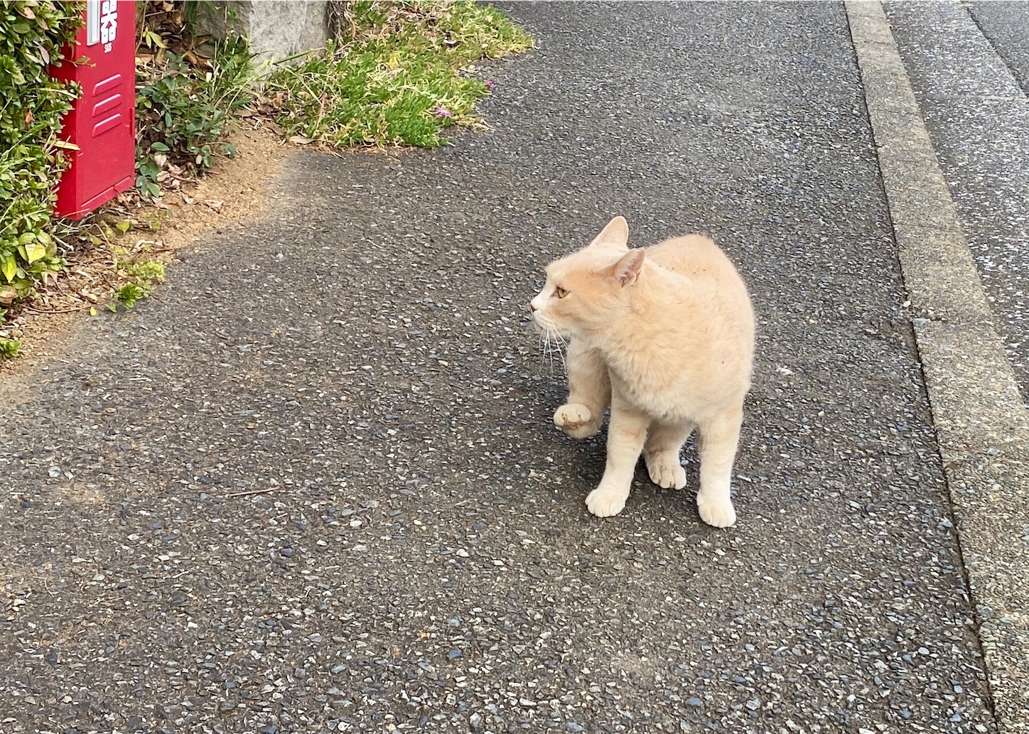 f:id:miemieization:20251122211912j:image