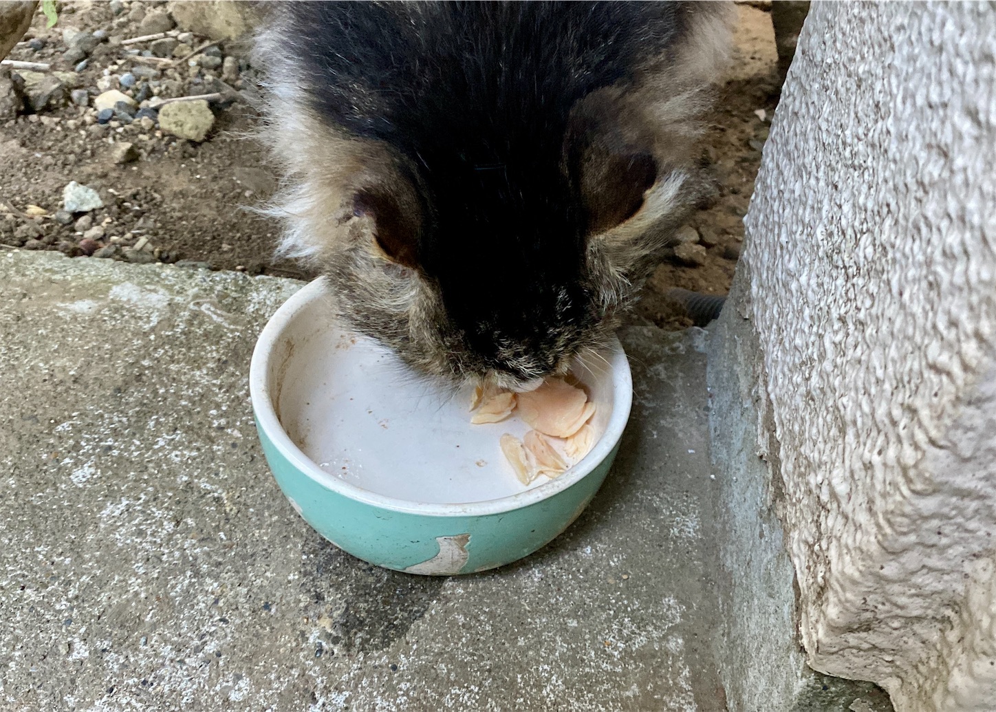 f:id:miemieization:20260215220942j:image f:id:miemieization:20260215220942j:image