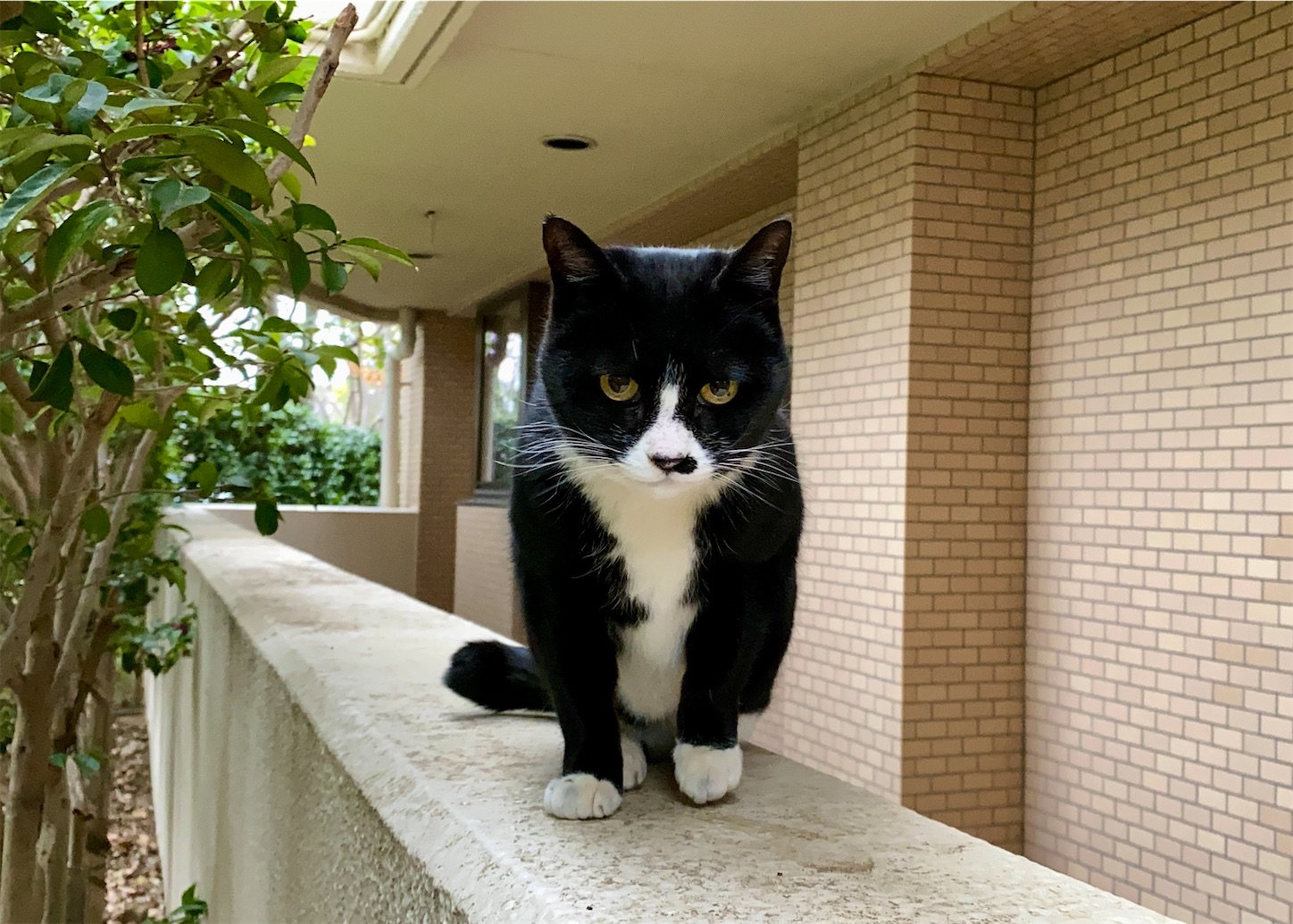 f:id:miemieization:20260313222506j:image
