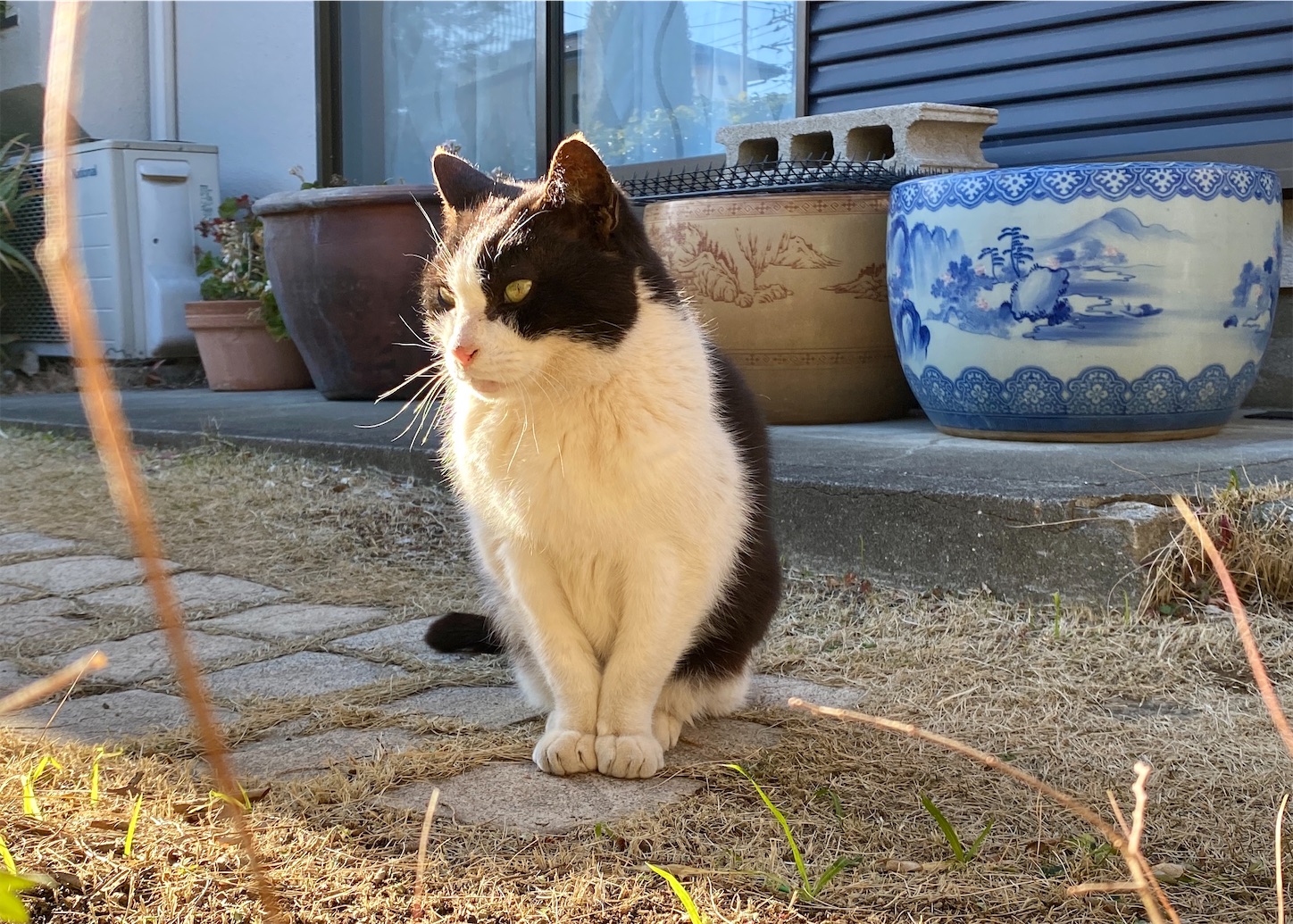 f:id:miemieization:20260314095120j:image