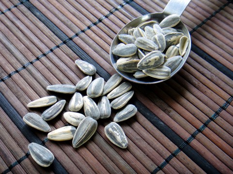 f:id:mienotes:20180810104841j:plain