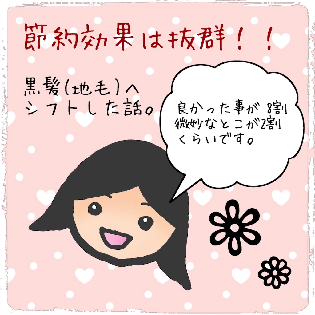 黒髪にして半年 よかった事 ちょっと微妙な事 こあらのアイディア帖