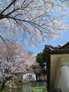 イメージ 8