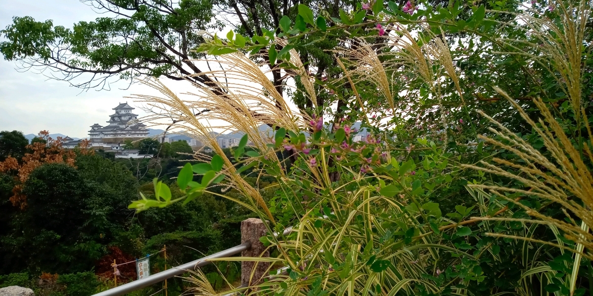 萩の花とお城 - mieと散歩しよう♪