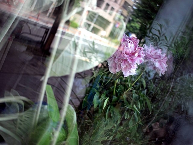 f:id:miewkky:20250203063517j:image f:id:miewkky:20250203063517j:image