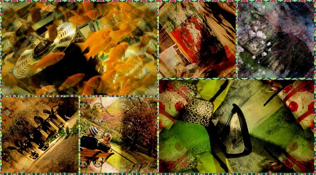 f:id:miewkky:20250329072137j:image